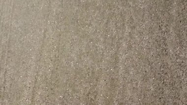 Traktör Havadan Taze Alan Tohumluyor