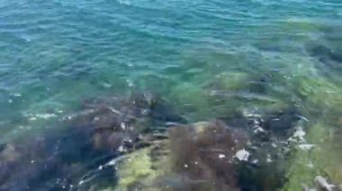 Su altında kayalarla dalgalanan deniz suyunun yüksek açılı görüntüsü.