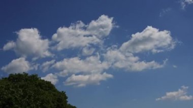 Güzel kabarık bulutları ağacın üzerinde hareket ettiren bir zaman atlaması
