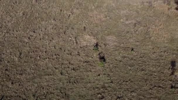 Een Luchtopname Van Een Landschap Met Bomen Het Dorp Sofia — Stockvideo