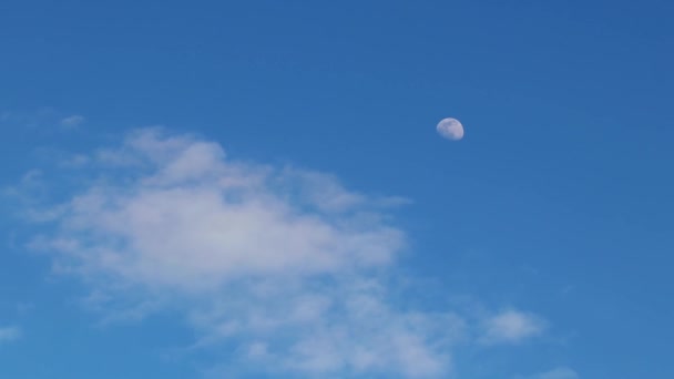 Una Hermosa Vista Luna Cielo Azul — Vídeo de stock