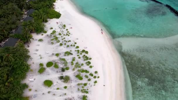 Повітряний Повільний Рух Навколо Мальдівського Острова Атолл Оточений Смарагдовою Водою — стокове відео