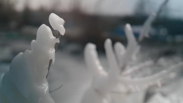 Zamrzlého Jezera Biel Švýcarsku Zimě Ponurý Den — Stock video