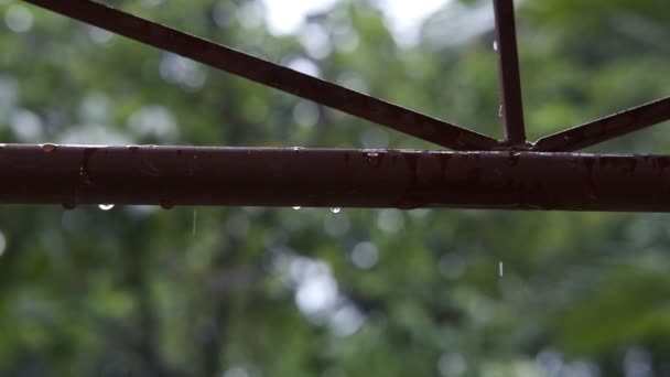 Uma Filmagem Aproximada Das Gotas Chuva Tubo Castanho Tempo Chuvoso — Vídeo de Stock