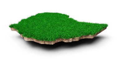 Etiyopya haritasını beyaz arka planda büyüyen çimlerle birlikte bir parça arazi olarak gösteren üç boyutlu bir resim.