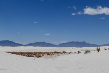 Arka planda dağlarla kaplı karla kaplı sakin bir arazi.