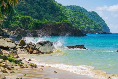 Trinidad ve Tobago 'daki mavi gökyüzünün altındaki Castara Körfezi' nin büyüleyici manzarası.