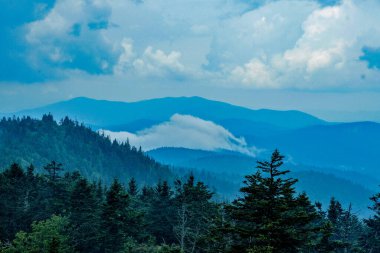 Yağmur yağarken, Smoky Mountain vadisinde bir bulut zıplıyordu.