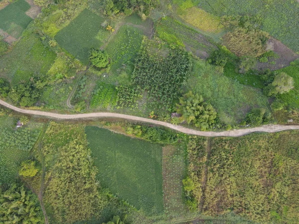 Een Luchtfoto Van Het Landschap Van Groene Velden Groene Bomen — Stockfoto