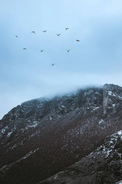 Vertikal Bild Flock Fåglar Som Flyger Över Klippiga Berg Molnig — Stockfoto