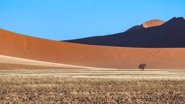 Namibia Die Wüste Namib Grafische Landschaft Mit Gelben Dünen Regenzeit — Stockfoto