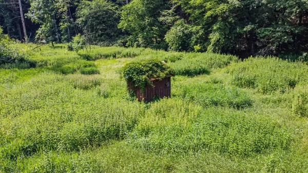 Malý Dřevěný Domek Zelené Trávě — Stock fotografie