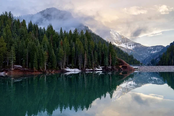 Uma Bela Vista Lago Reflexivo Uma Floresta Com Árvores — Fotografia de Stock