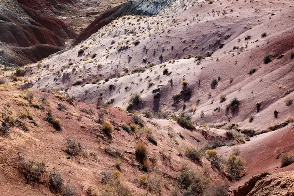 阳光下沙漠中红色干枯荒地的景观 — 图库照片
