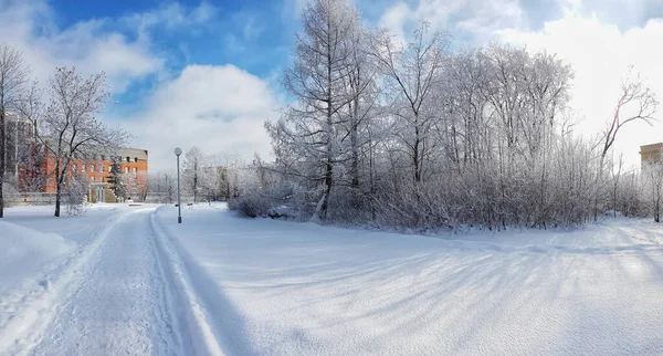 Ein Atemberaubender Blick Auf Den Verschneiten Park Sankt Petersburg Russland — Stockfoto