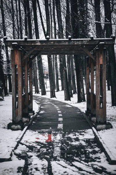 Вертикальный Снимок Старых Деревянных Маленьких Ворот Покрытой Снегом Дороге Леса — стоковое фото