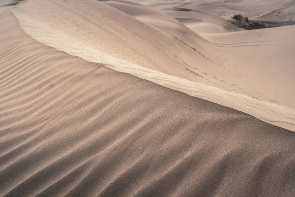 Нетронутый Песчаный Холм Лучах Солнца — стоковое фото