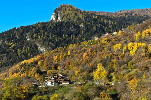 Een Landschap Van Herfst Woud Wallis Zwitserland — Stockfoto