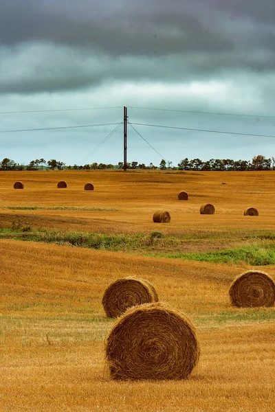 Natural View Straw Bales Agricultural Field Gloomy Sky — Stock Photo, Image