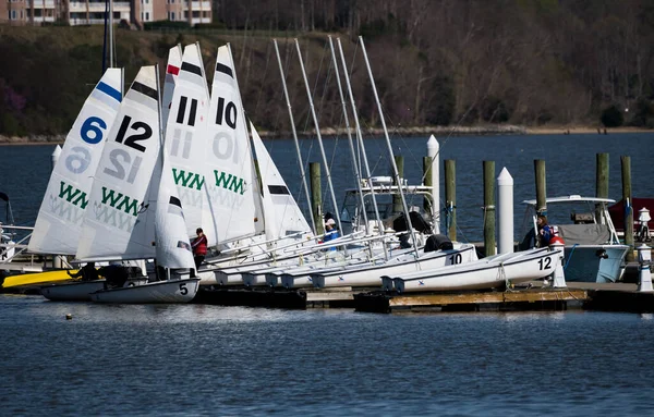 Die Segelboote Auf Dem Fluss James Bei Tag Williamsburg Vereinigte — Stockfoto