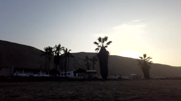 Upływ Czasu Krajobrazu Palmami Budynkami Słońcem Wschodzącym Górą — Wideo stockowe