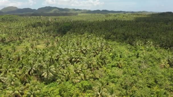 Filmato Del Drone Aereo Della Foresta Pluviale Fresca Dell Isola — Video Stock