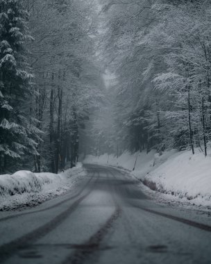 Karlı ve kasvetli bir günde ağaçlarla birlikte yolun dikey bir görüntüsü.