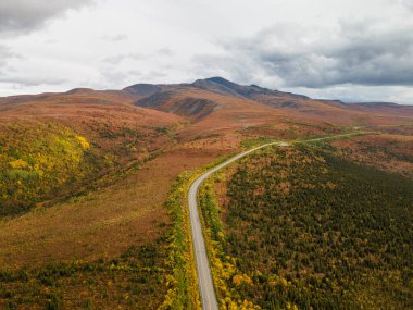 Yeşillik ve Alaska 'daki Fairplay Dağı' ndan geçen Taylor Otoyolu 'nun havadan görünüşü.
