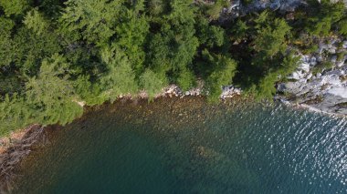 Sahildeki suya yakın ağaçların en üst görüntüsü.