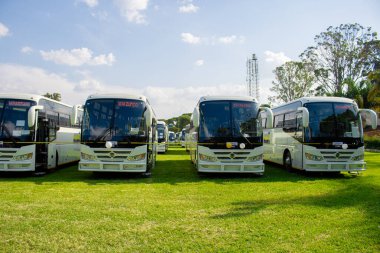 Bandın arkasındaki tarlada yan yana duran büyük beyaz bir otobüs.