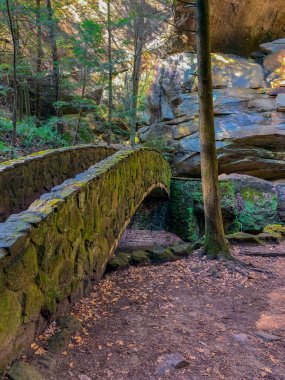 Bir uçurumun arkasındaki ormandaki eski bir taş köprünün dikey çekimi.