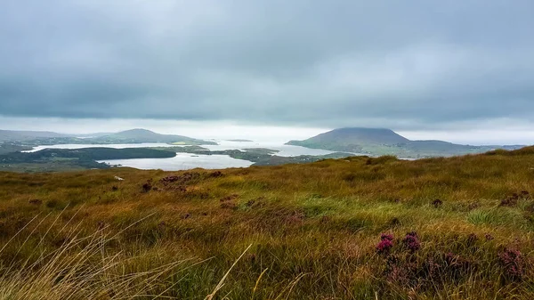 Uma Vista Aérea Colinas Cobertas Vegetação Cidade Irlandesa Wicklow — Fotografia de Stock