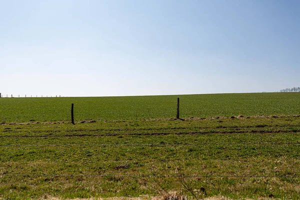 Uma Bela Vista Campo Grama Verde Fresco Vaux Sur Sure — Fotografia de Stock