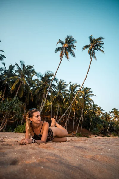 해변에 스리랑카의 야자나무와 수직으로 클로즈업된 — 스톡 사진