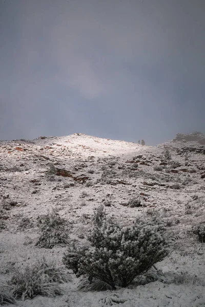 Piękny Widok Krajobrazu Klifów Pokrytych Śniegiem Szare Niebo Matroosberg Republika — Zdjęcie stockowe