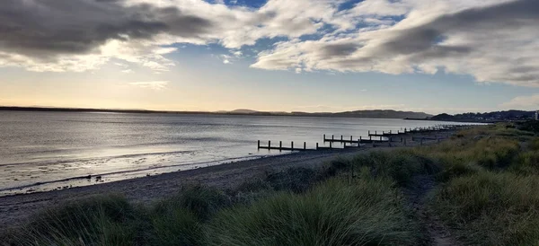 Een Rustig Landschap Van Oceaan Met Planten Voorgrond Tijdens Zonsondergang — Stockfoto