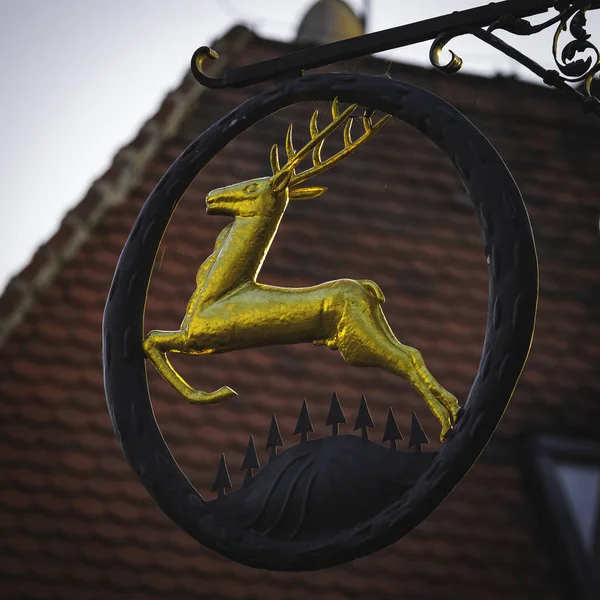 Nahaufnahme Einer Wetterfahne Mit Einem Goldenen Hirsch Auf Dem Dach — Stockfoto