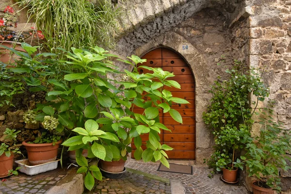 Widok Wejścia Starego Domu Ozdobionego Roślinami Vallecorsa — Zdjęcie stockowe