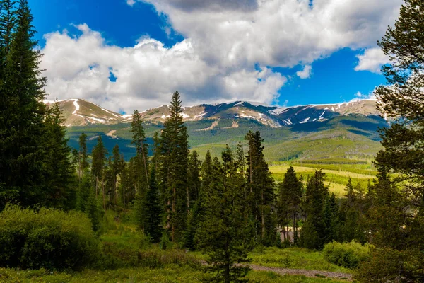 Beautiful Shot Trees Background Mountains — Stock Photo, Image