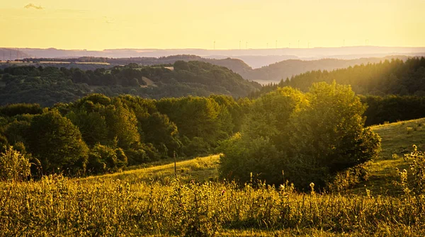 Malebný Pohled Sárské Louky Německu Při Západu Slunce — Stock fotografie