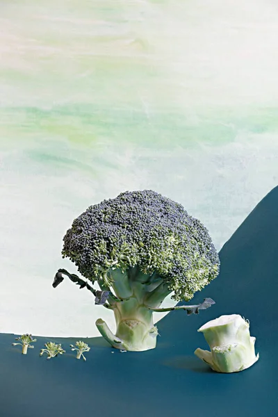 Tiro Vertical Brócolis Cru — Fotografia de Stock