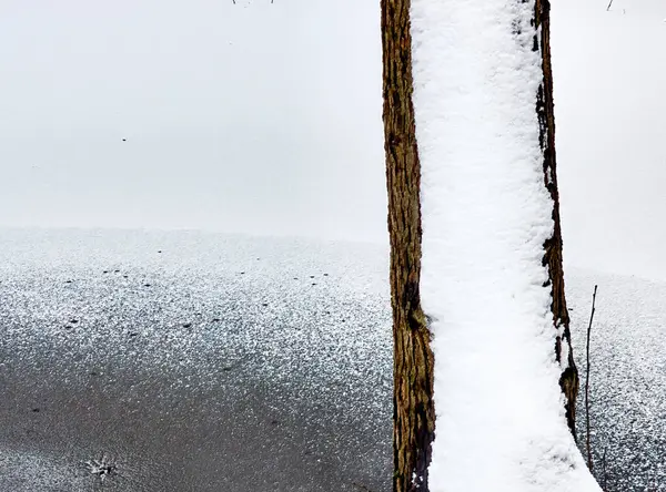 冰封的池塘上的一棵树被白雪覆盖的抽象图像 — 图库照片