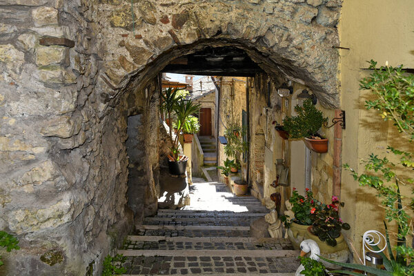 A beautiful narrow cobblestone alley among houses in Fiuggi, Lazio, Italy
