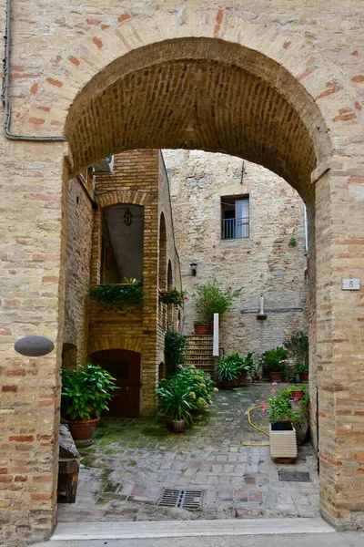 Vertical Shot Archway Beautiful Plants Old House Civitanova Alta Italy — Stock Photo, Image