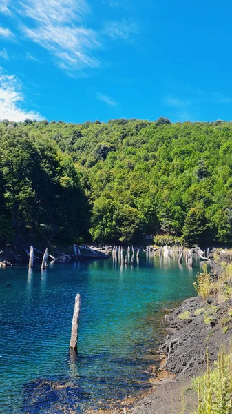 Uma Bela Vista Lago Calmo Cercado Por Árvores Chile — Fotografia de Stock