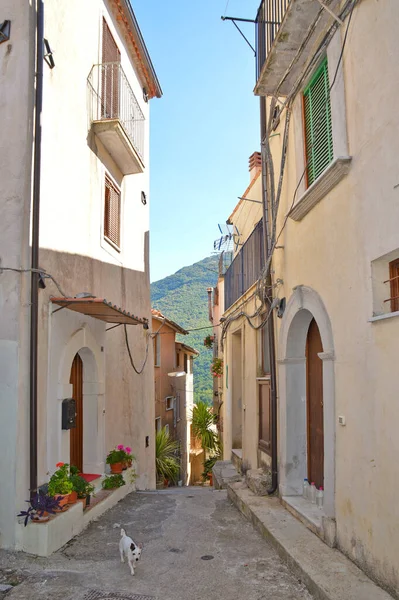 Uma Rua Estreita Rivello Uma Aldeia Região Basilicata Itália — Fotografia de Stock