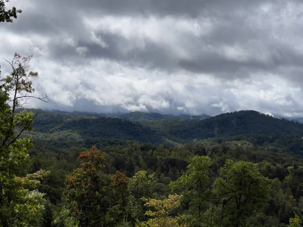Вид Воздуха Заросшие Лесом Горы — стоковое фото
