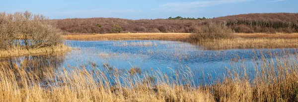 Paisagem Com Vista Azul Rio Parque Nacional Duinen Van Texel — Fotografia de Stock