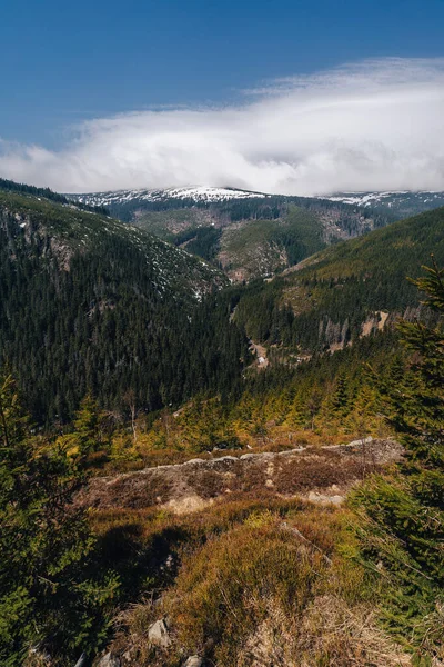 Jarní Pohled Sněžku Nejvyšší Vrchol Krkonoš Českou Republiku Národní Park — Stock fotografie