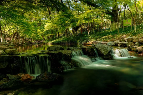 Una Larga Exposición Del Río Con Cascada Bosque — Foto de Stock